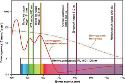 Спектры поглощения света хромофорами кожи